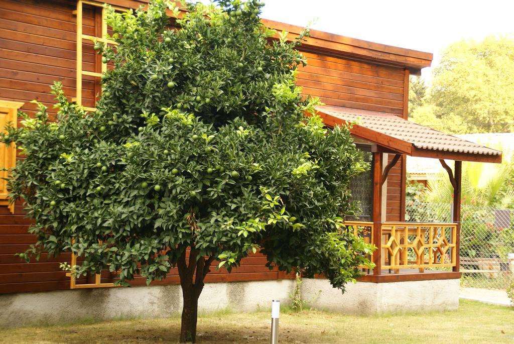 Çıralı Maji Village מראה חיצוני תמונה