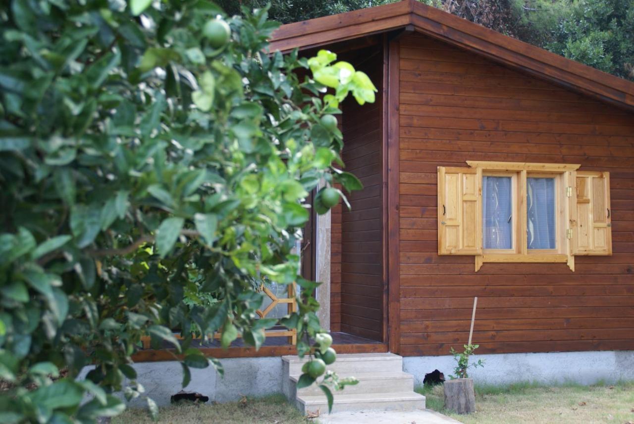Çıralı Maji Village מראה חיצוני תמונה