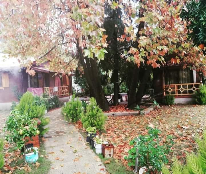 Çıralı Maji Village מראה חיצוני תמונה